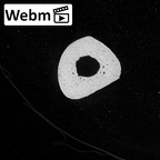 NH MER34 879 Gorilla gorilla gorilla metacarpal fifth left ct stack movie
