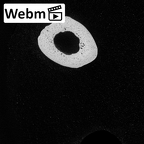 NH MER34 879 Gorilla gorilla gorilla metacarpal fourth left ct stack movie