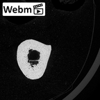 NH MER34 879 Gorilla gorilla gorilla metacarpal second left ct stack movie