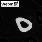 NH MER34 879 Gorilla gorilla gorilla metacarpal third left ct stack movie