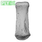 NH MER34 887 Gorilla gorilla ssp. hand phalanx fifth middle right ply