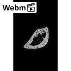 NH MER34 887 Gorilla gorilla ssp. hand phalanx fifth proximal right ct stack movie