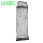 NH MER34 887 Gorilla gorilla ssp. hand phalanx second proximal right ply
