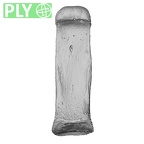 NH MER34 887 Gorilla gorilla ssp. hand phalanx third proximal right ply