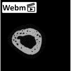 NH MER34 887 Gorilla gorilla ssp. metacarpal fifth right ct stack movie