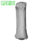 NH MER34 887 Gorilla gorilla ssp. metacarpal first right ply