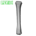 NH MER34 887 Gorilla gorilla ssp. metacarpal fourth right ply