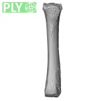 NH MER34 887 Gorilla gorilla ssp. metacarpal third right ply