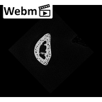 NH MER35 117 Gorilla gorilla gorilla hand phalanx fifth proximal left ct stack movie