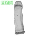 NH MER35 117 Gorilla gorilla gorilla hand phalanx fifth proximal left ply