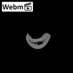 NH MER35 135 Gorilla gorilla gorilla hand phalanx fourth proximal left ct stack movie