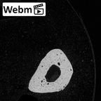 NH MER35 138 Gorilla gorilla gorilla metacarpal fifth left ct stack movie