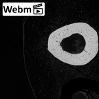 NH MER35 138 Gorilla gorilla gorilla metacarpal fourth left ct stack movie