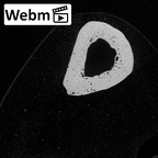 NH MER35 138 Gorilla gorilla gorilla metacarpal third left ct stack movie