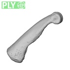 NH MER35 174 Gorilla gorilla gorilla hand phalanx third proximal right ply