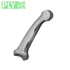 NH MER35 95 Gorilla gorilla gorilla hand phalanx fourth middle right ply