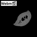NH MER35 95 Gorilla gorilla gorilla hand phalanx second middle right ct stack movie