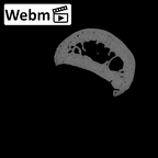 NH MER35 95 Gorilla gorilla gorilla hand phalanx second proximal right ct stack movie