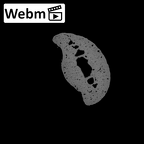 NH MER35 95 Gorilla gorilla gorilla hand phalanx third middle right ct stack movie