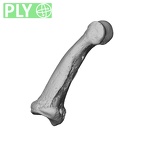 NH MER35 95 Gorilla gorilla gorilla hand phalanx third middle right ply