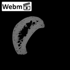 NH MER35 95 Gorilla gorilla gorilla hand phalanx third proximal right ct stack movie
