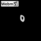 NH MER35 95 Gorilla gorilla gorilla metacarpal fifth left ct stack movie