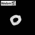NH MER35 95 Gorilla gorilla gorilla metacarpal fourth left ct stack movie
