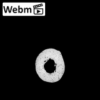 NH MER35 95 Gorilla gorilla gorilla metacarpal second left ct stack movie