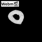 NH MER35 95 Gorilla gorilla gorilla metacarpal third left ct stack movie