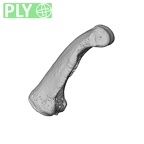 NH MER36 264 Gorilla gorilla gorilla hand phalanx fifth proximal left ply
