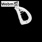 NH MER36 264 Gorilla gorilla gorilla metacarpal first left ct stack movie
