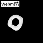 NH MER36 264 Gorilla gorilla gorilla metacarpal fourth left ct stack movie