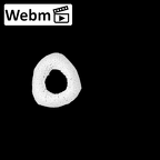 NH MER36 264 Gorilla gorilla gorilla metacarpal second left ct stack movie
