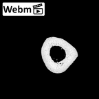NH MER36 264 Gorilla gorilla gorilla metacarpal third left ct stack movie