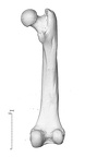 NH MER32 729