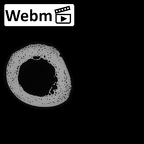 NH MER32 333 Gorilla gorilla ssp. humerus right ct stack movie