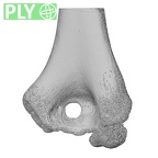 NH MER32 333 Gorilla gorilla ssp. humerus right distal ply