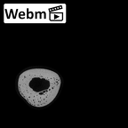 NH MER32 333 Gorilla gorilla ssp. radius right ct stack movie
