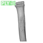 NH MER32 333 Gorilla gorilla ssp. radius right proximal ply