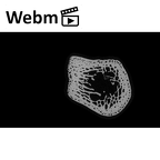 NH MER32 333 Gorilla gorilla ssp. ulna left proximal ct stack movie