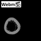 NH MER33 409 Gorilla gorilla ssp. humerus left ct stack movie