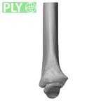 NH MER33 409 Gorilla gorilla ssp. radius left distal ply
