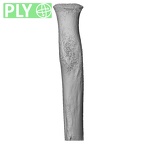 NH MER33 409 Gorilla gorilla ssp. radius left proximal ply