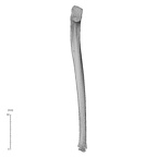 NH MER35 169 Gorilla gorilla ssp. ulna right anterior