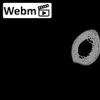 NH MER35 169 Gorilla gorilla ssp. ulna right ct stack movie