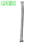 NH MER35 29 Gorilla gorilla ssp. radius left ply