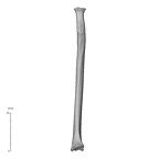 NH MER35 95 Gorilla gorilla gorilla radius left medial