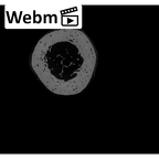 NH MER35 95 Gorilla gorilla gorilla ulna left distal ct stack movie