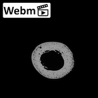 NH MER35 99 Gorilla gorilla gorilla humerus left ct stack movie
