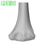 NH MER35 99 Gorilla gorilla gorilla humerus left distal ply